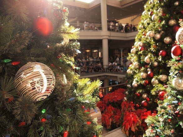 Christmas Trees at Ala Moana Center