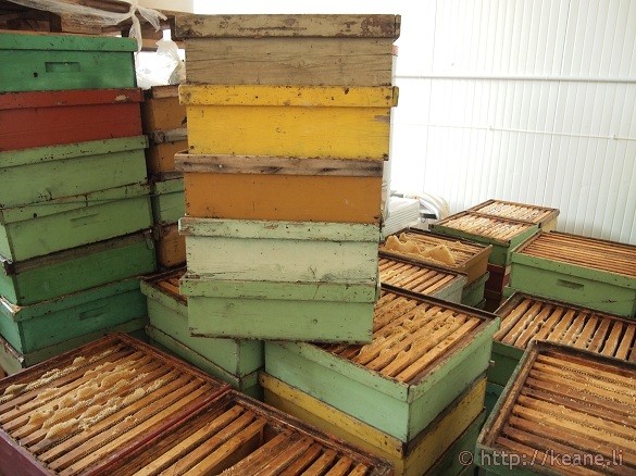 Bee farming and honey at Miele Praconi in San Mauro Pascoli