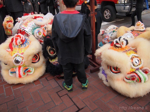 Boy and Chinese lion heads before Chinese New Year parade in San Francisco