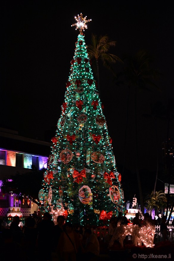 Christmas in Hawaii - Honolulu City Lights 2014