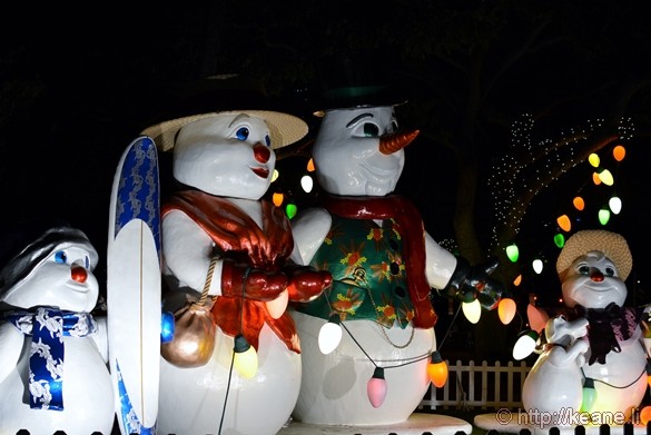 Christmas in Hawaii - Honolulu City Lights 2014