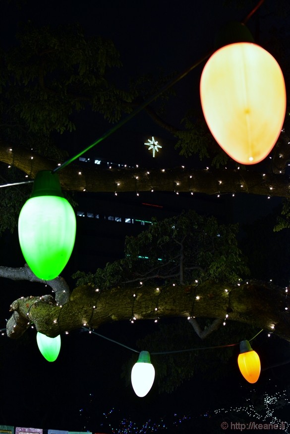 Christmas in Hawaii - Honolulu City Lights 2014