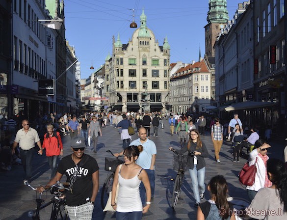 Historic Copenhagen Downtown