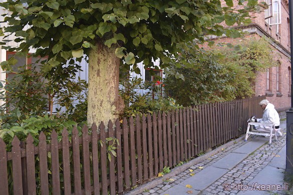 Woman Painting Fence in Gothenburg