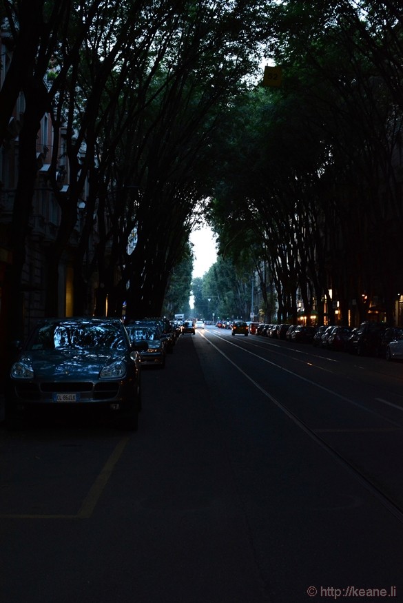 Tree-lined Street in Milan