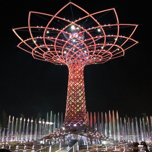 Tree of Life at Night at Milan Expo 2015