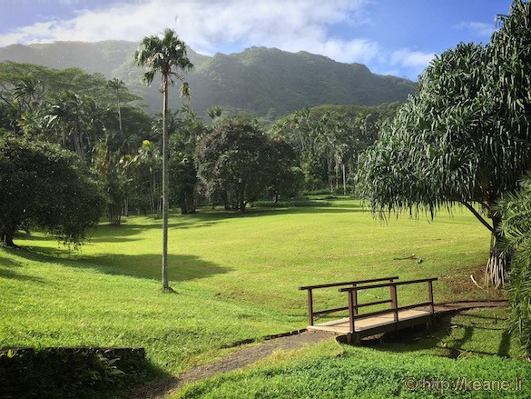 Oahu - Lyon Arboretum