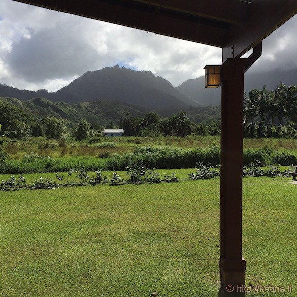 Kauai - Field in Hanalei