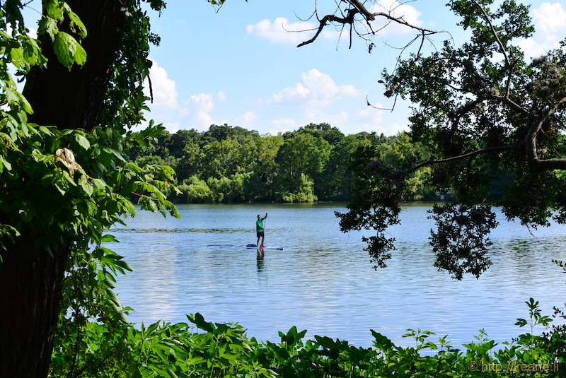 Stand Up Paddle Boarder in the Colorado River in Austin