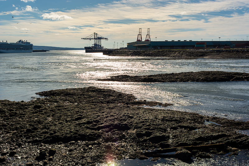 Bay of Fundy in Saint John