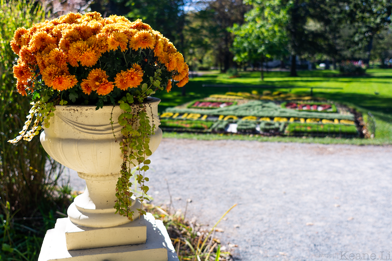 Halifax Public Gardens